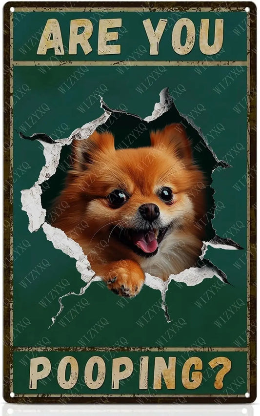 Are You Pooping? – Funny Pomeranian Metal Tin Sign