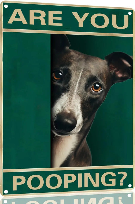 Are You Pooping? – Funny Whippet Dog Metal Tin Sign