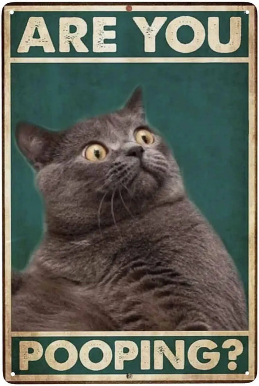 Are You Pooping? – Funny Black Cat Metal Tin Sign