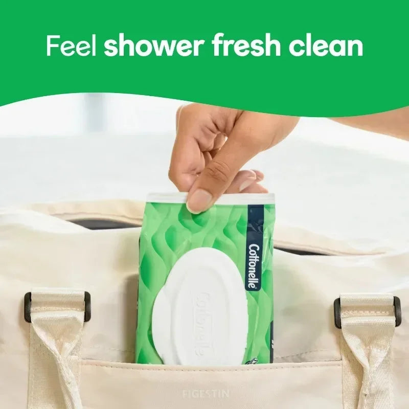 Cottonelle Gentle Plus Flushable Wipes – Because Your Backside Deserves Luxury (4 Flip-Top Packs)